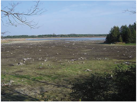 File:Lake Ontario Drought 2007.png