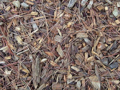 File:Wood chip mulch.jpg