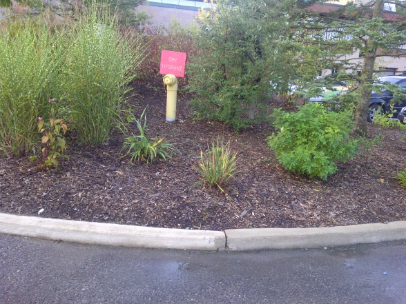 File:Dry Hydrant.jpeg