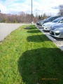 CVC Office, Grass Swale.JPG