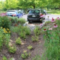 Bioretention 550x550.jpg