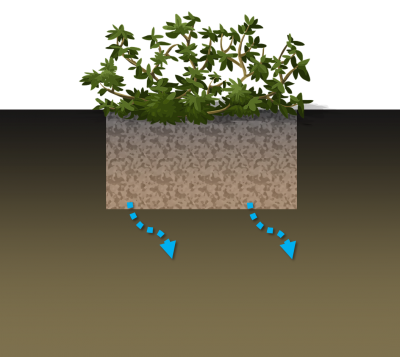 Rain Garden Schematic.png