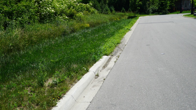 File:Bioswale - sheet flow - Wychwood.JPG