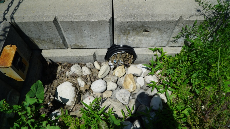 File:Inlet - clogged - Elm Drive.JPG