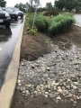 IMAX Bioretention Wet weather2.JPG