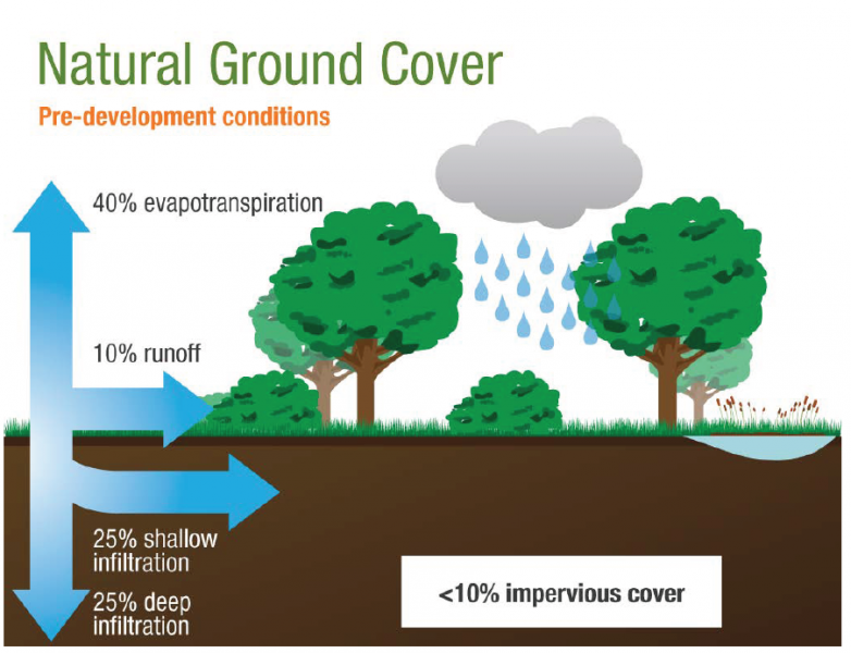 File:Natural Ground Cover.png