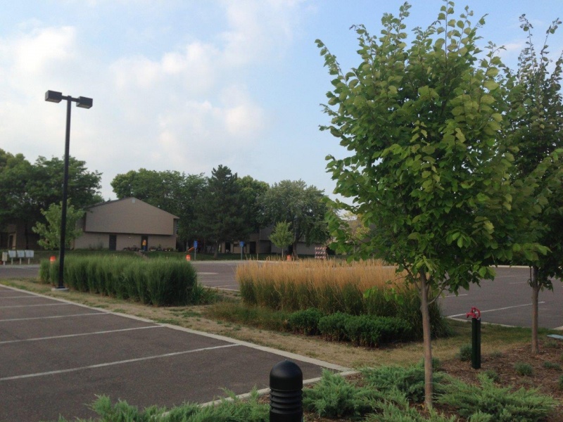 File:Bioretention Parking Lot 1.jpeg