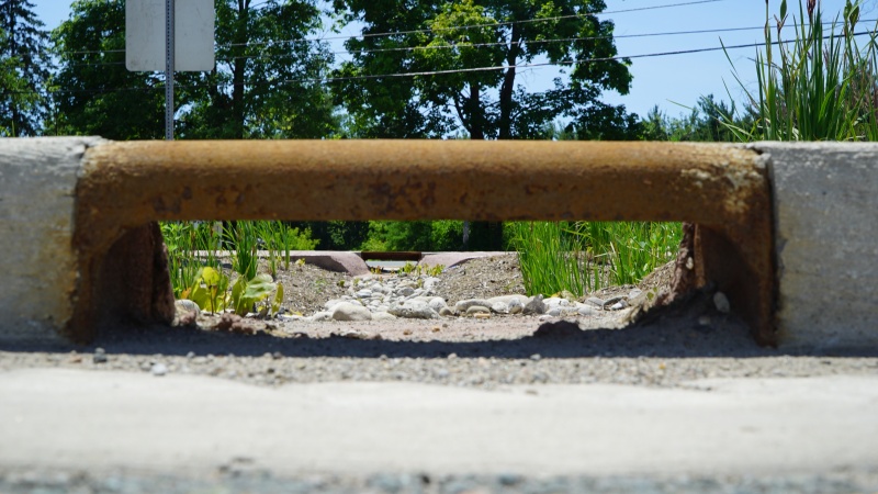 File:Mississauga Road - Brampton - curb cuts.JPG