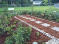 Kenollie rain garden after maintenance.jpg