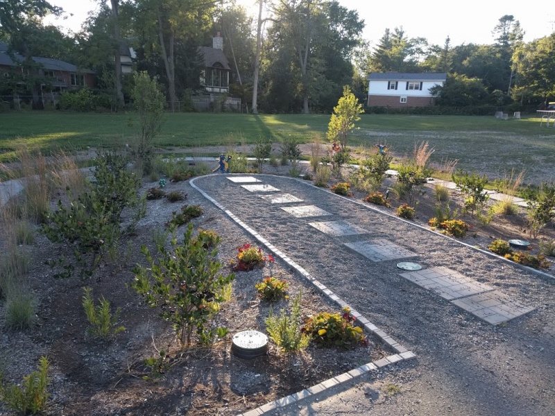 File:Kenollie Rain Garden.jpg